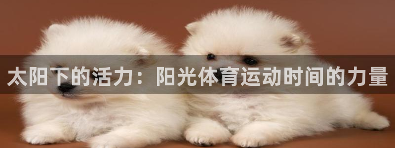 k1体育十年品牌官网
