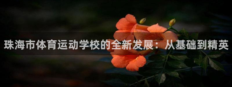 k1体育平台下载：珠海市体育运动学校的全新发展：从基础到精英