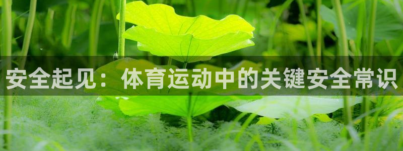 k1体育十年平台