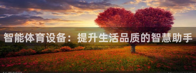 k1体育app官网登录入口：智能体育设备：提升生活品质的智慧助手