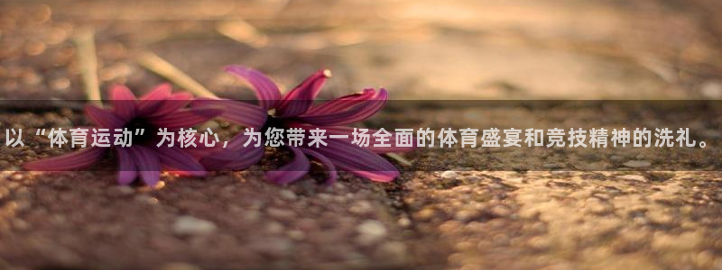 k1体育平台下载：以“体育运动”为核心，为您带来一场全面的体育盛宴和竞技精神的洗礼。