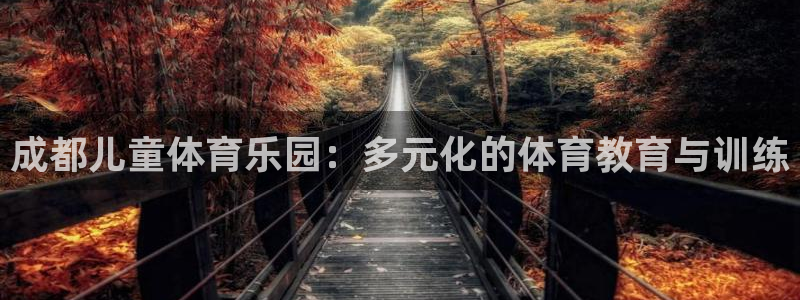 k1体育十年品牌值得信赖网址：成都儿童体育乐园：多元化的体育教育与训练