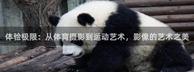 k1体育下载链接：体验极限：从体育摄影到运动艺术，影像的艺术之美